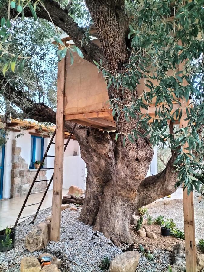 Sole In Ogliastra Bed and Breakfast Jerzu Exterior foto