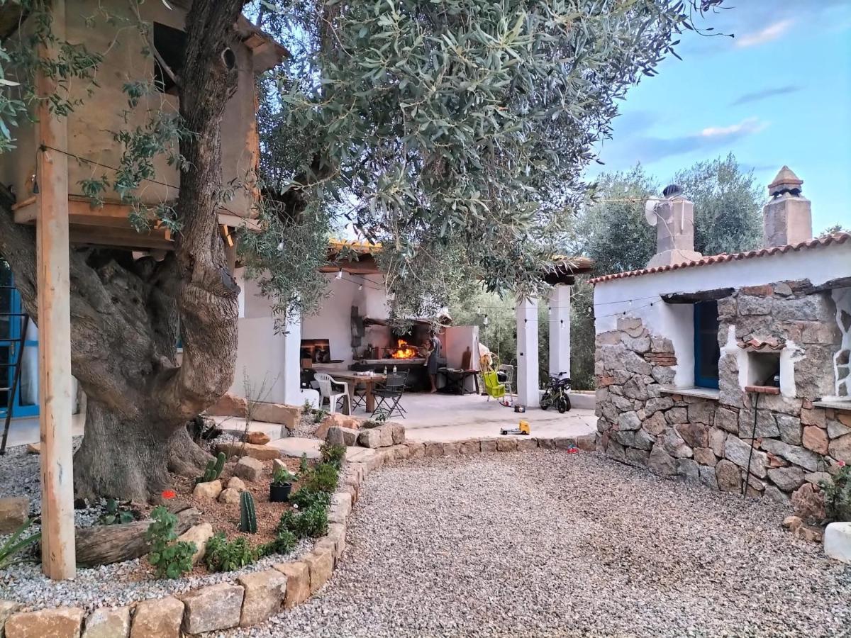 Sole In Ogliastra Bed and Breakfast Jerzu Exterior foto