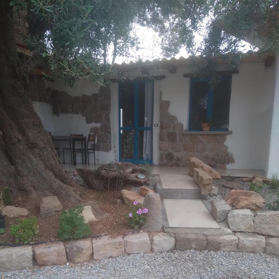 Sole In Ogliastra Bed and Breakfast Jerzu Exterior foto