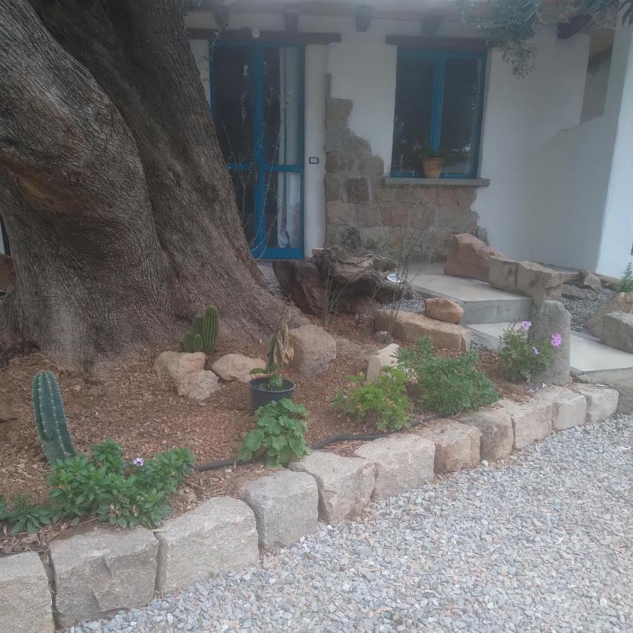 Sole In Ogliastra Bed and Breakfast Jerzu Exterior foto