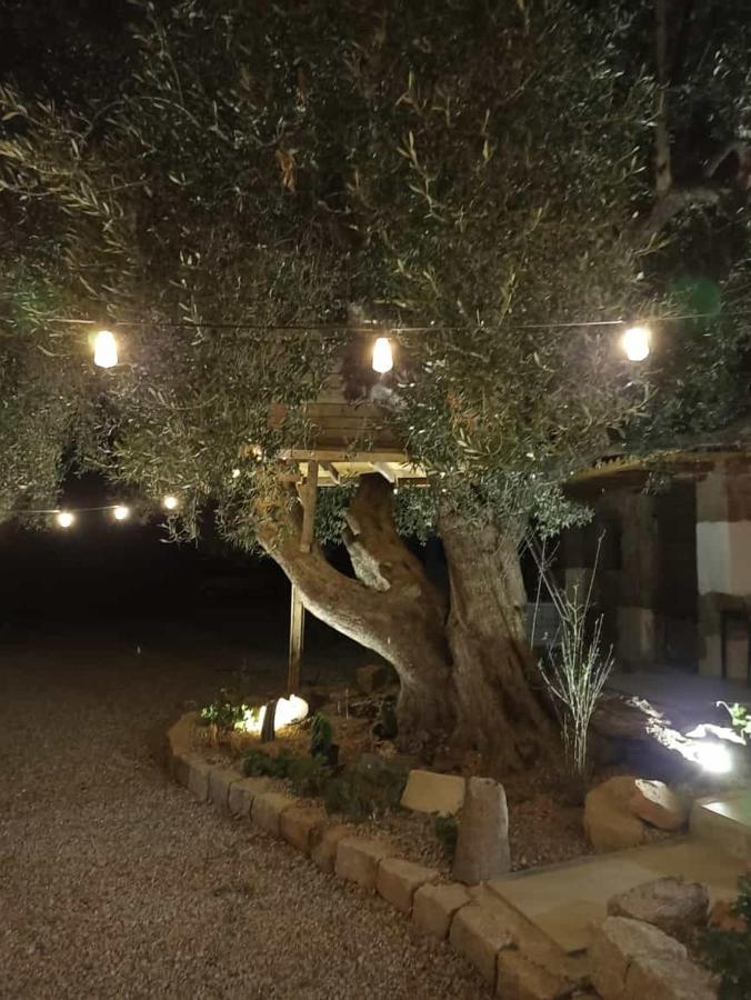 Sole In Ogliastra Bed and Breakfast Jerzu Exterior foto